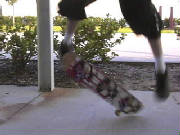 josh3skating.jpg